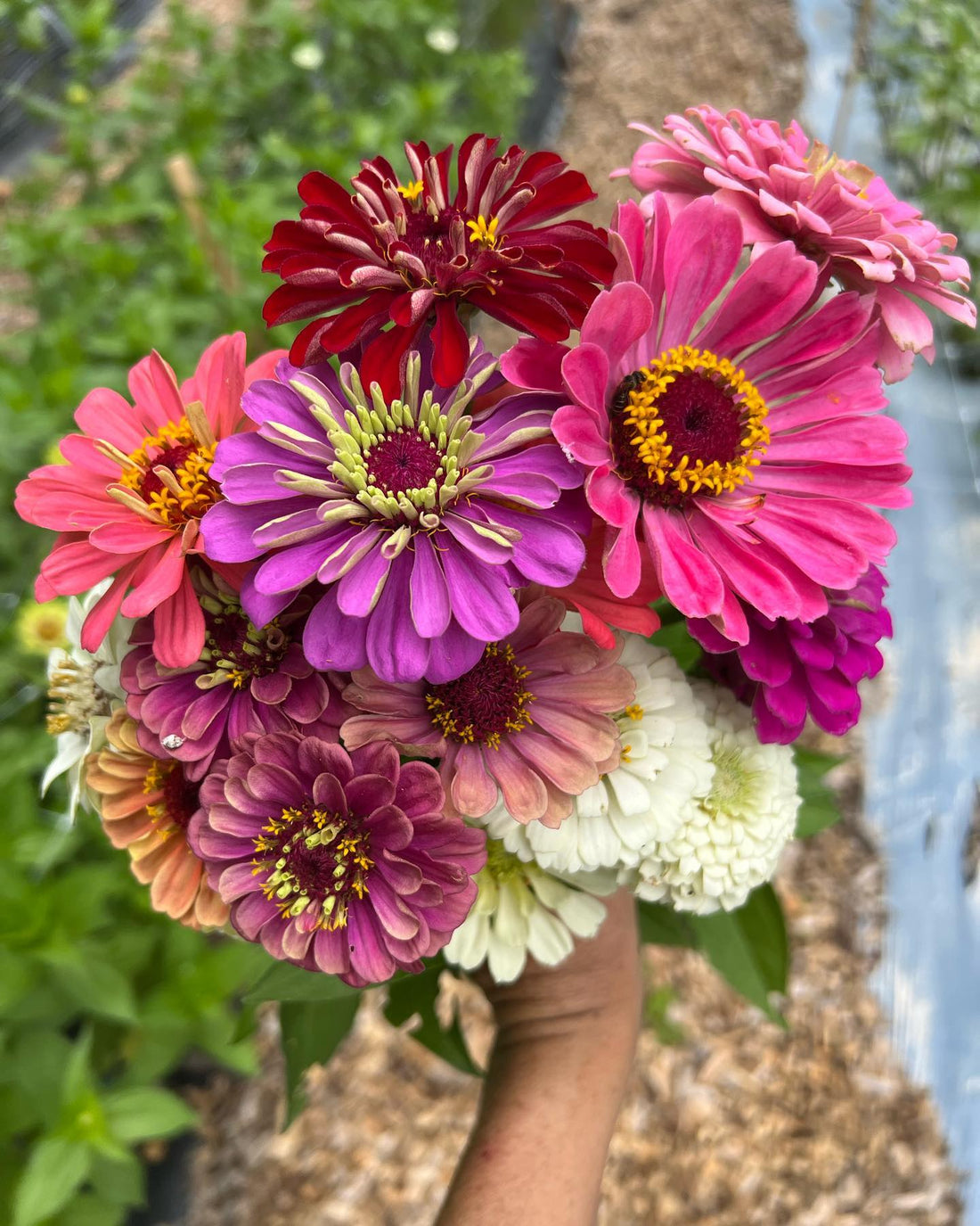 Join us on March 8th at 10 am and get a FREE bouquet!