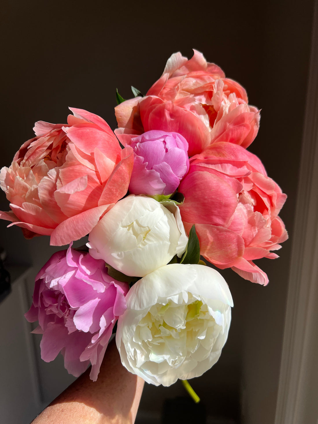 The Mother’s Day Garden Collection
