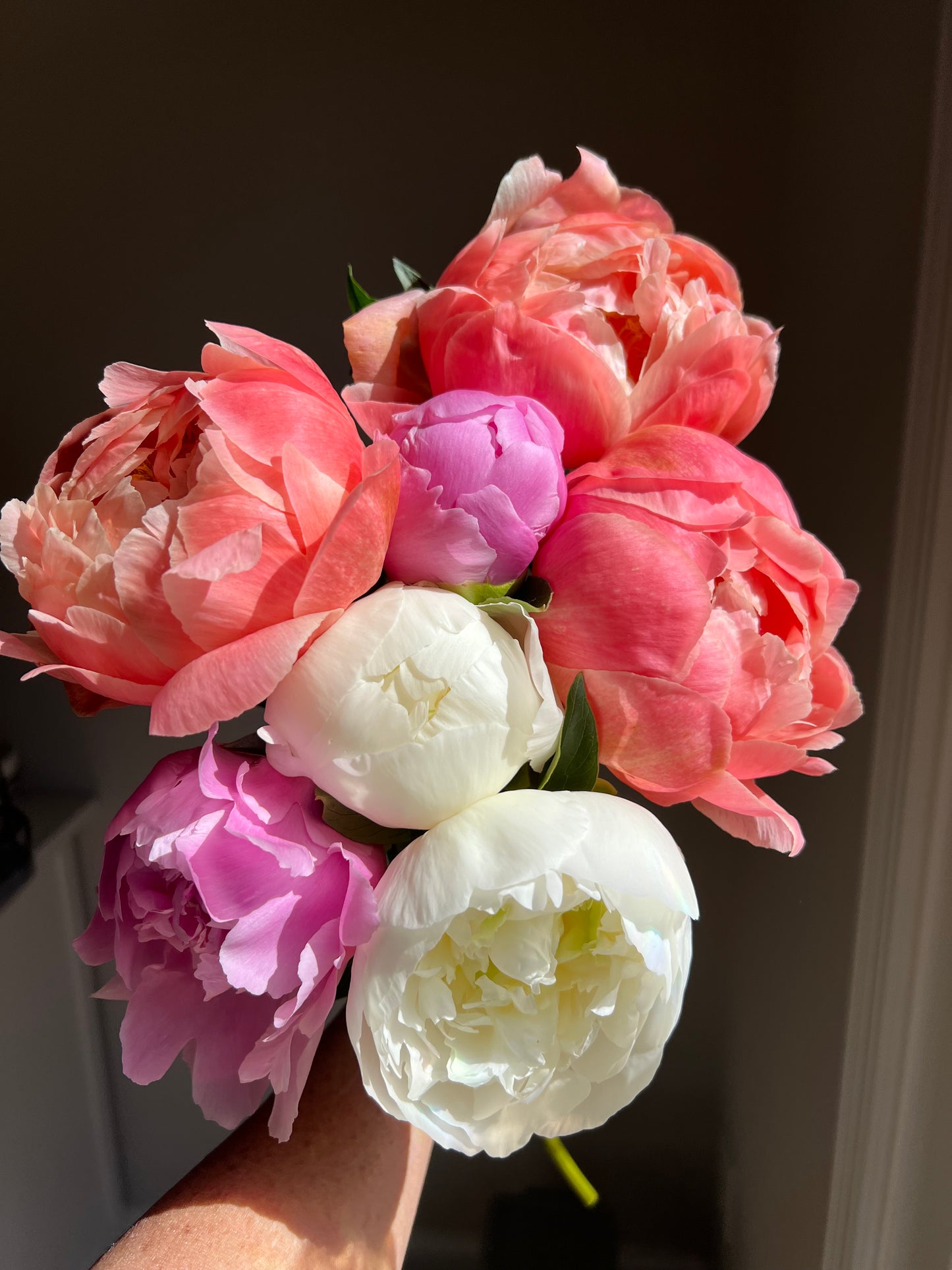 Mother's Day Garden Collection