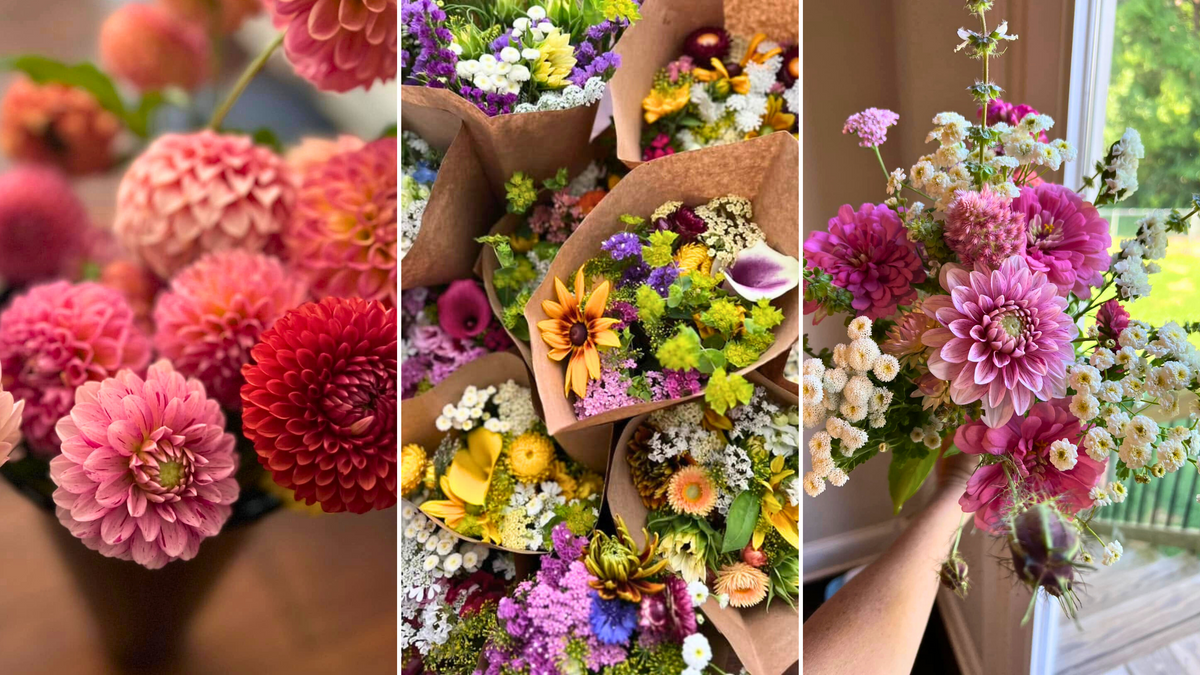 Piney Grove Flower Farm