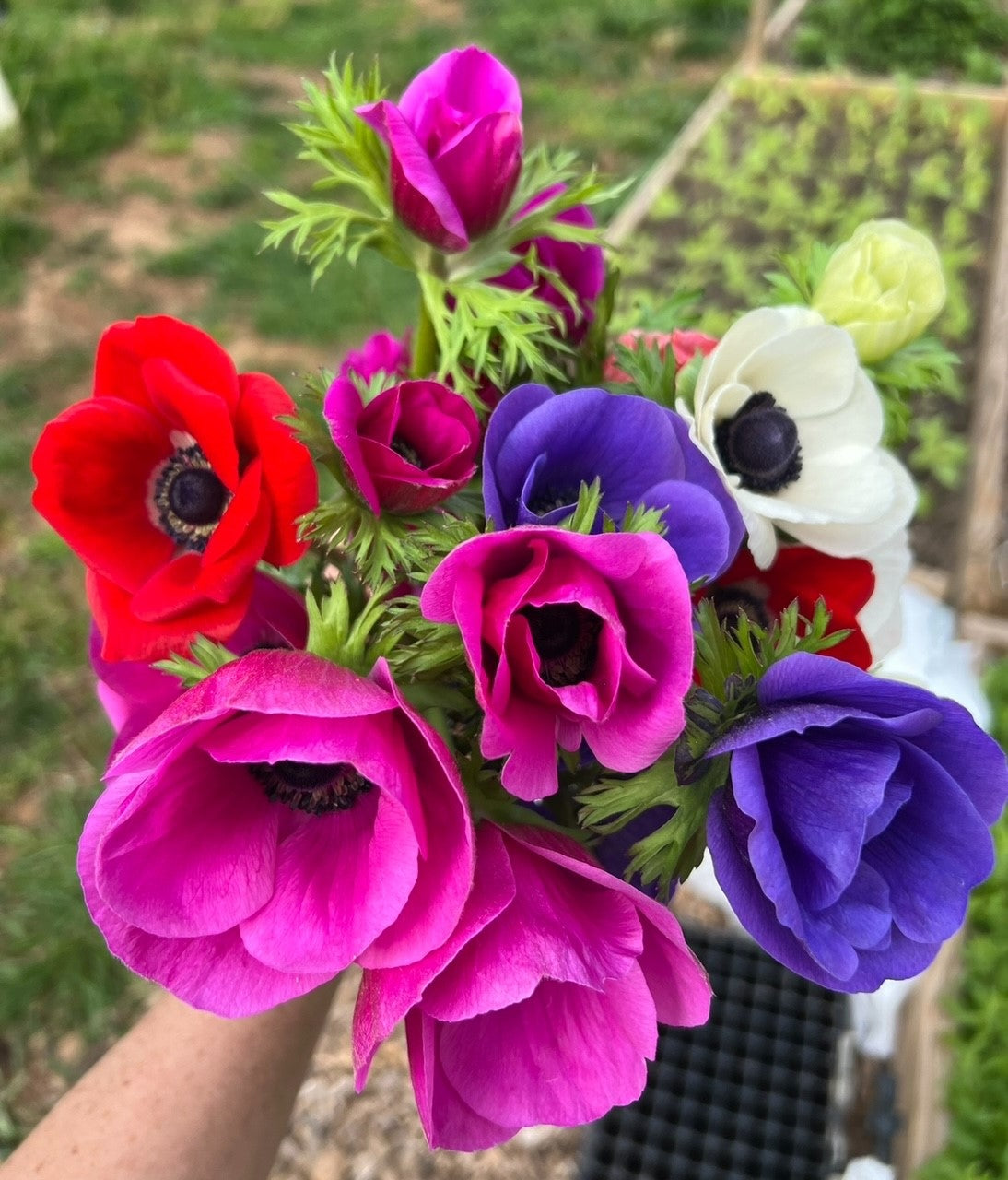 Hope in Bloom Spring Bouquet Club