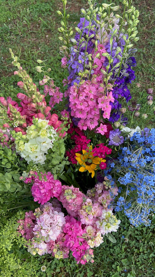 Bucket of Beauty: DIY Farmer’s Choice of Colors