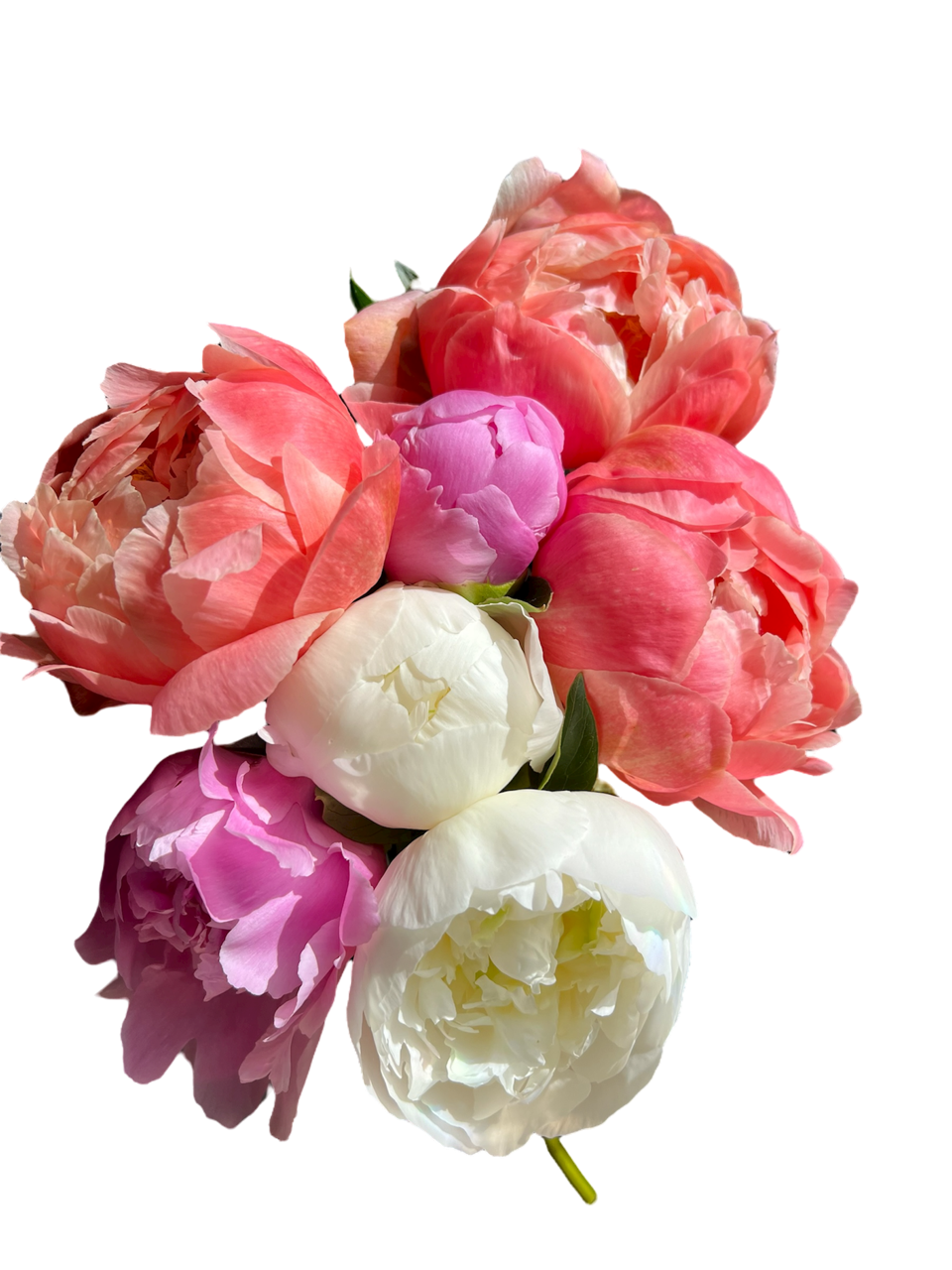 Hope in Bloom Spring Bouquet Club