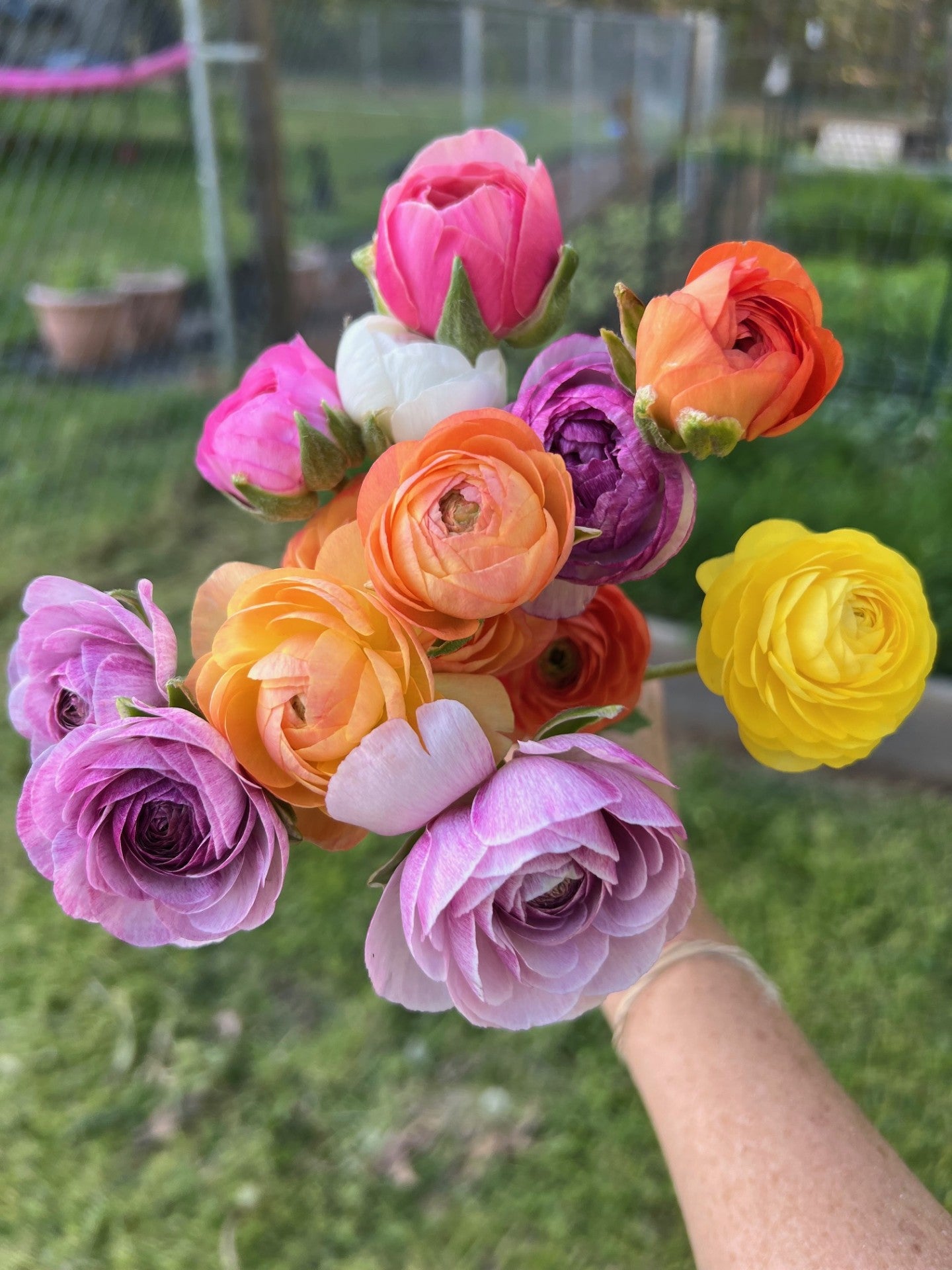 Hope in Bloom Spring Bouquet Club